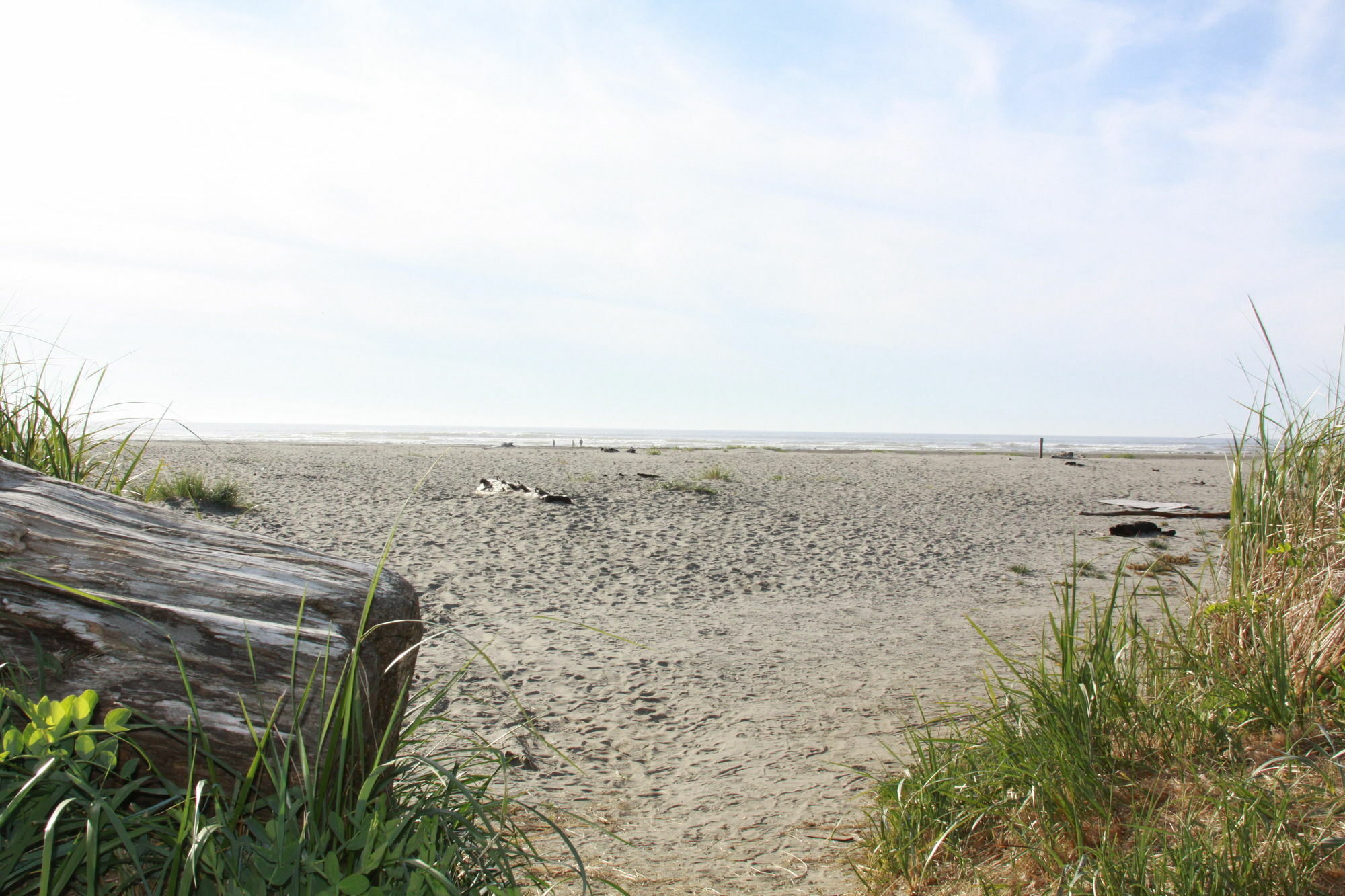 אושן סיטי Quinault Beach Resort & Casino מראה חיצוני תמונה